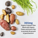 garden-of-life-probiotics-for-men-dr-for-4.jpg