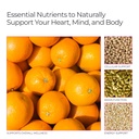 livingood-daily-electrolytes-powder-lemo-6.jpg