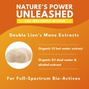 bold-botanica-organic-lions-mane-supplem-3.jpg