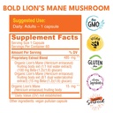 bold-botanica-organic-lions-mane-supplem-2.jpg