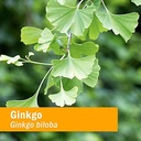 herb-pharm-certified-organic-ginkgo-bilo-5.jpg