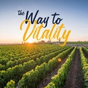vitalitown-iron-supplement-for-women-men-6.jpg