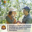 vitalitown-iron-supplement-for-women-men-5.jpg