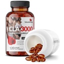 futurebiotics-cla-3000-extra-high-potenc-4.jpg