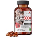 futurebiotics-cla-3000-extra-high-potenc-3.jpg