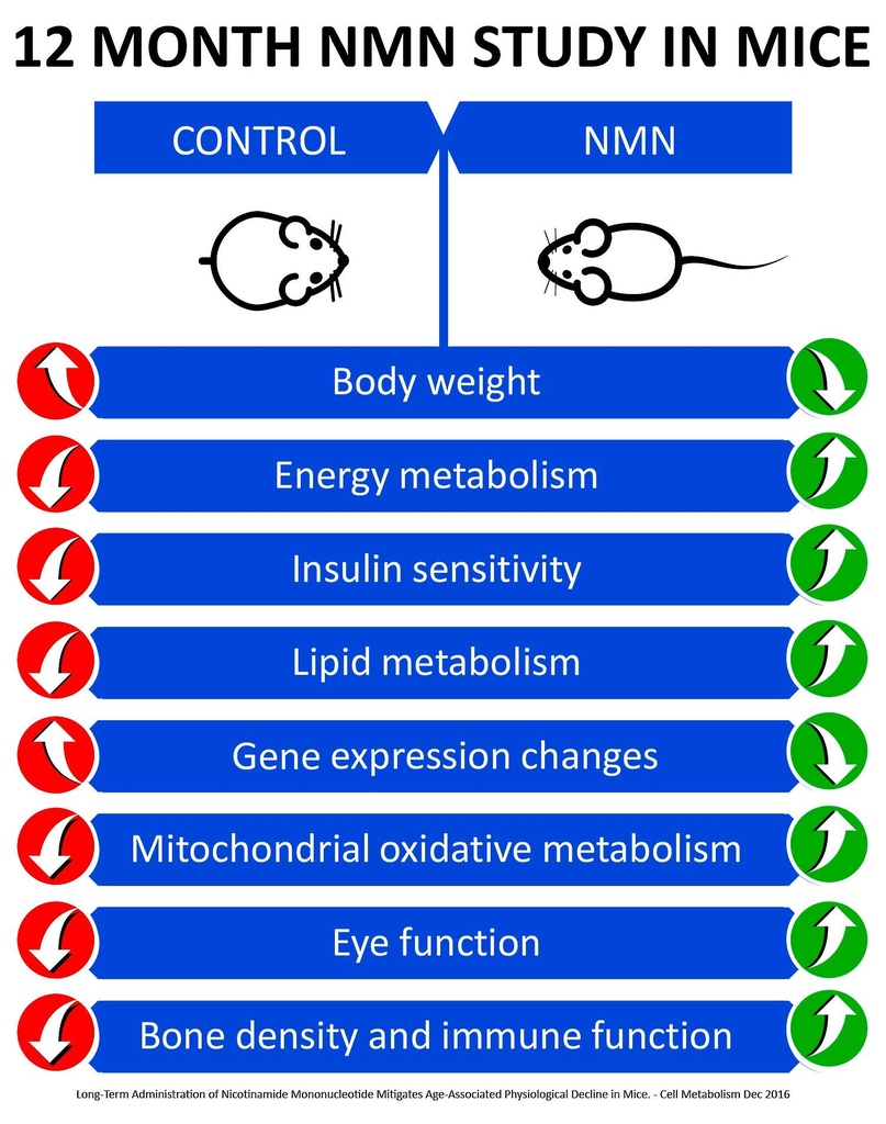 maac10-nmn-supplement-250mg-capsules-gen-3.jpg