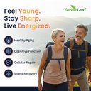 forestleaf-nad-resveratrol-capsules-lipo-3.jpg