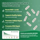 liposomal-nad-supplement-with-nicotinami-4.jpg