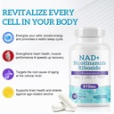 liposomal-nad-resveratrol-supplement-nic-2.jpg