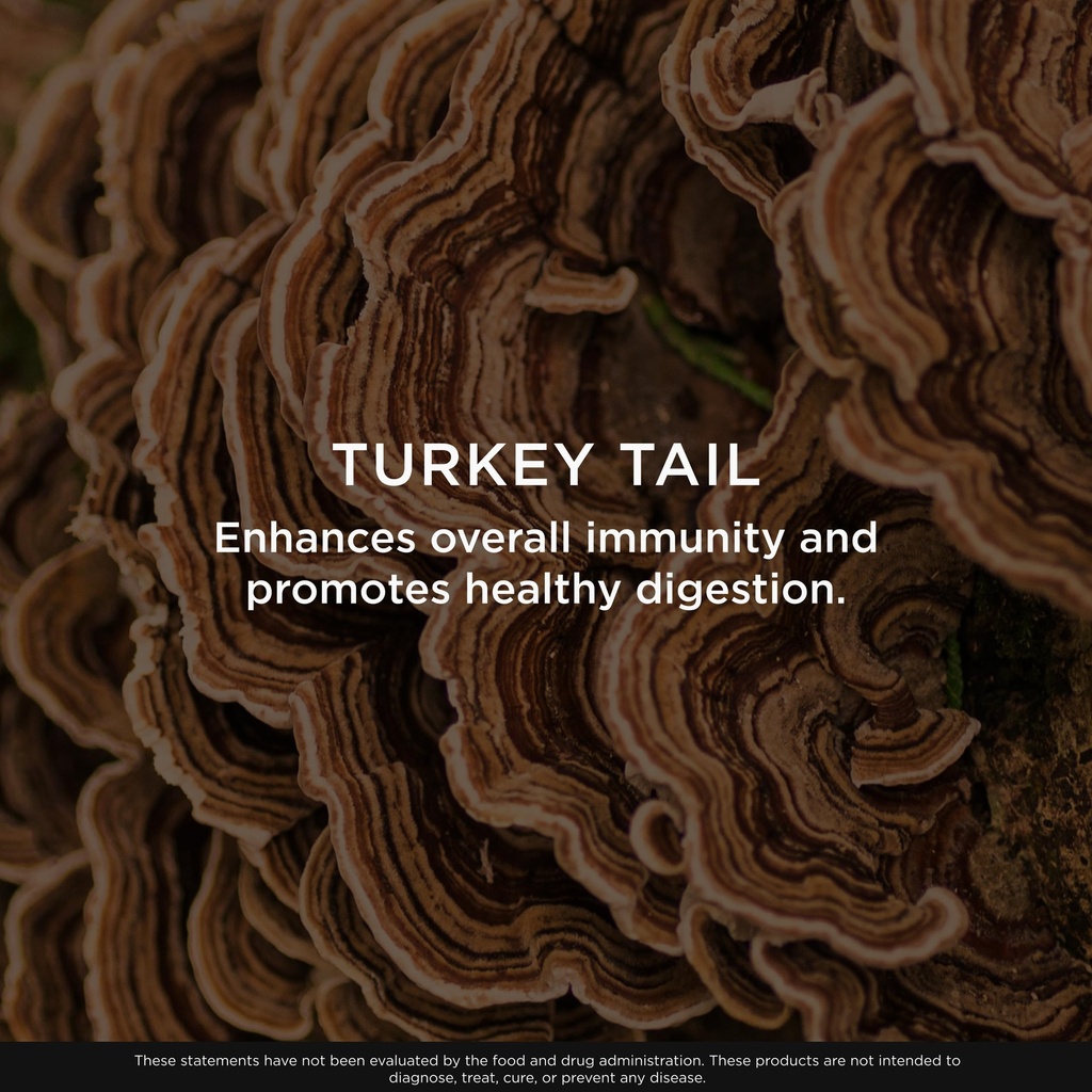 the-genius-brand-genius-turkey-tail-plan-5.jpg