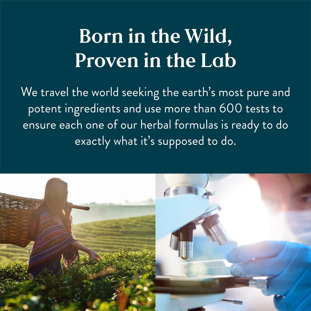 nature-s-sunshine-high-potency-protease--2.jpg