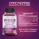 atlantis-nutrition-sugar-free-fiber-gumm-5.jpg