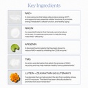 cymbiotika-liposomal-nad-supplement-cell-6.jpg