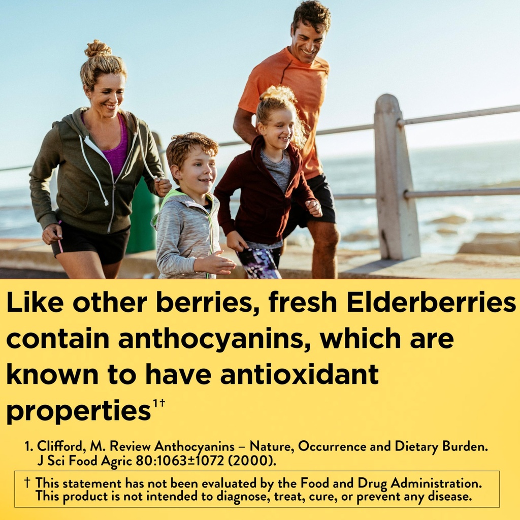 nature-made-elderberry-vitamin-c-and-zin-2.jpg
