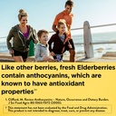 nature-made-elderberry-vitamin-c-and-zin-2.jpg