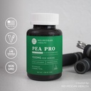 neurogan-ultra-micronized-palmitoylethan-5.jpg