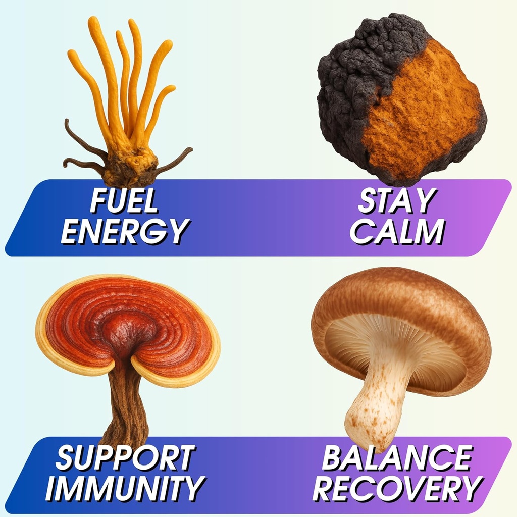 instant-mushroom-powder-101-cordyceps-mu-4.jpg