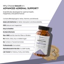 adrenal-support-for-women-men-cortisol-m-6.jpg