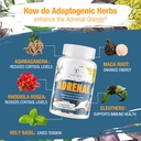 adrenal-support-adaptogens-herbs-supplem-3.jpg