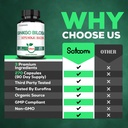 1520mg-ginkgo-biloba-supplements-with-go-4.jpg