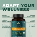 ancient-nutrition-ashwagandha-tablets-st-5.jpg