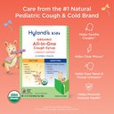 hyland-s-kids-organic-all-in-one-grape-c-3.jpg