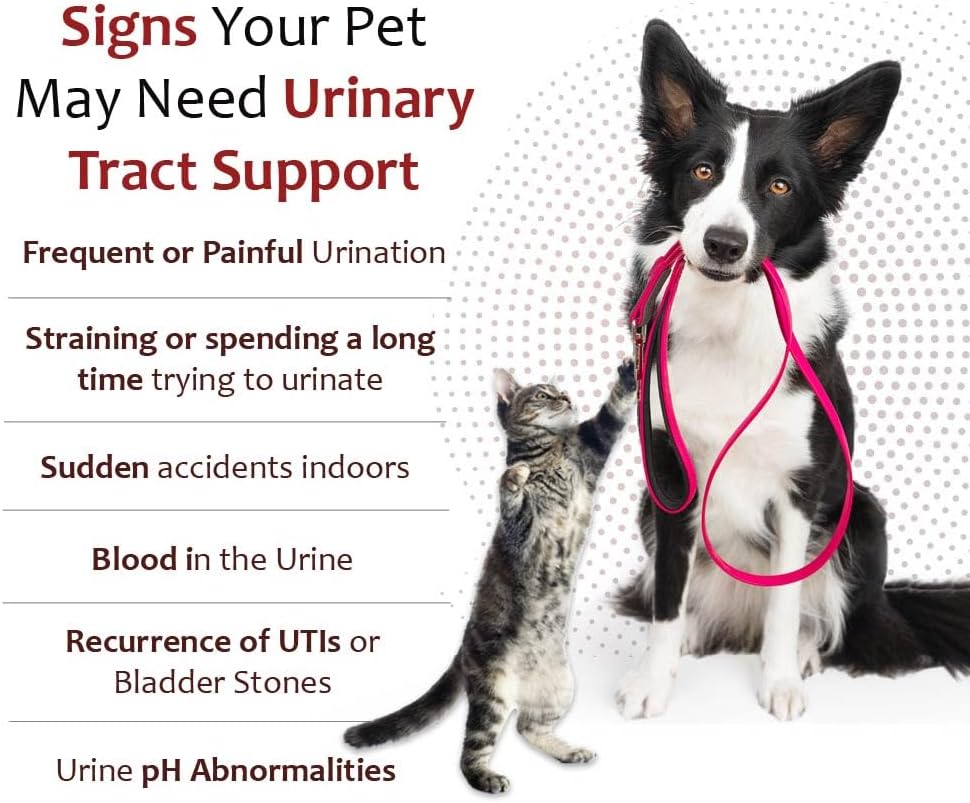 k-plus-gel-for-dogs-cats-potassium-citra-3.jpg