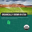 organic-barley-grass-juice-powder-grown--6.jpg