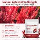 astaxanthin-12mg-premium-astaxanthin-ant-5.jpg