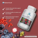 nature-s-lab-super-antioxidant-support-r-2.jpg