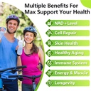 sublingual-nmnh-500mg-480-day-supply-500-3.jpg