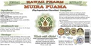 muira-puama-alcohol-free-liquid-extract--2.jpg