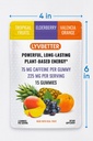energy-gummies-lyvbetter-in-3-different--2.jpg