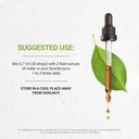 turmeric-tincture-alcohol-free-extract-t-3.jpg