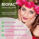 upnourish-probiotics-caviar-collagen-wit-3.jpg