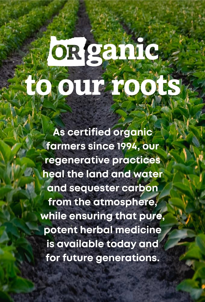 oregon-s-wild-harvest-saw-palmetto-organ-2.jpg