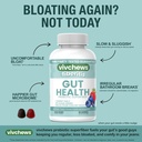 gut-health-gummies-prebiotic-fiber-for-b-5.jpg