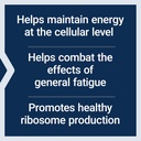 life-extension-energygain-french-oak-ext-4.jpg
