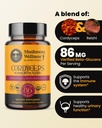 mushroom-wellness-cordyceps-blend-with-r-2.jpg