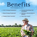vitalitown-vitamin-b12-methyl-b12-5000-m-5.jpg