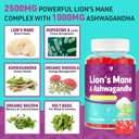 organic-ashwagandha-gummies-lions-mane-g-6.jpg