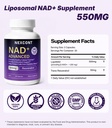 nad-supplement-for-brain-health-supports-2.jpg