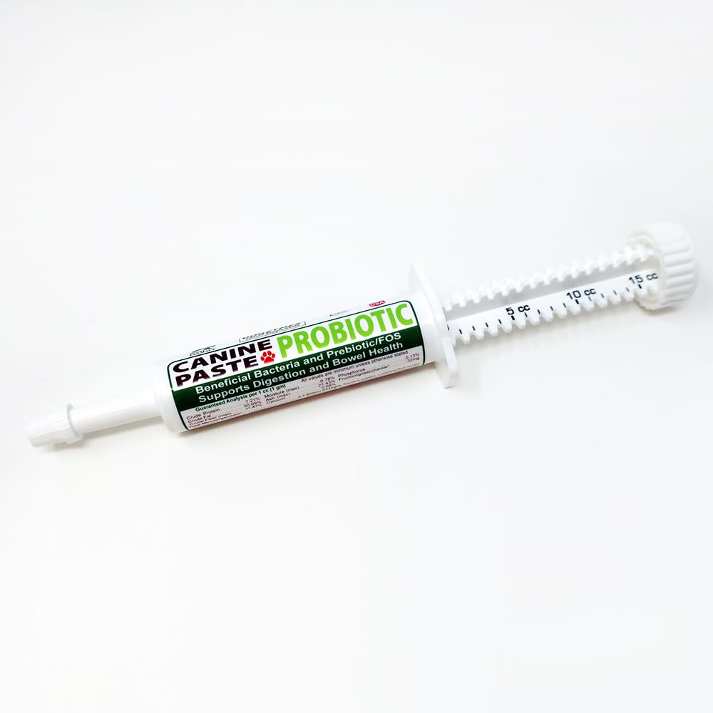 כלביםzymes Canine Probiotic paste Beneficial Bacteria-Enzyme 2.3 מיליארד CFU /gm Saccharomyces boulardii אורגני אבקת דבש (15 גרם)