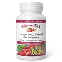 גורמים טבעיים, GrapeSeedRich Grape Seed לחלץ, תמיכה אנטי-חמצן בתגובה דלקתית בריאה, 120 קפסולות