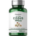 Piping Rock Cissus Quadrangularis תוסף 1800 מ"ג | 200 קפסולות | Ultra Concentrated Herbal Extract