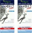 Wellgenix Bio-Available Sublingual B12 Max - פורמולה עבור Absorption גבוהה - תזונה רב ויטמין B12, B6, Folate - Fast Dissolve (60 Ct) 2 Pack