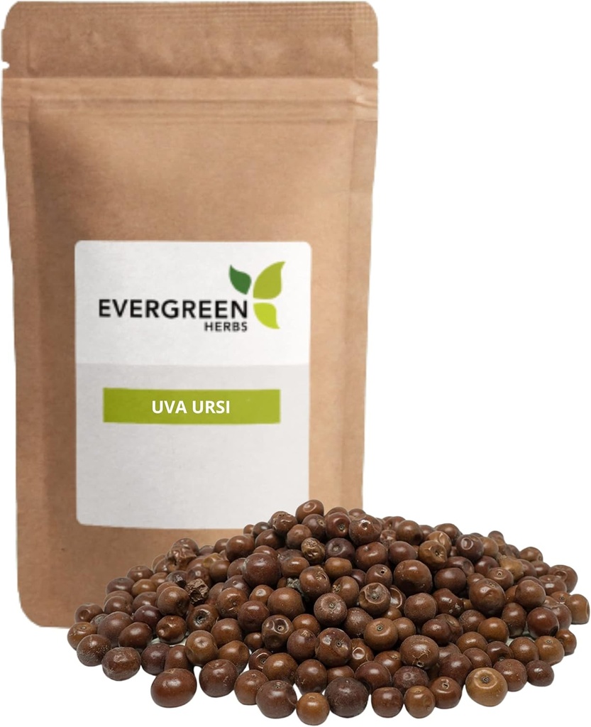 Evergreen Herbs Pinguica Fruto - Uva Ursi פירות (8 oz.) - Resealable Stand Up Pouch כדי להבטיח טריות!
