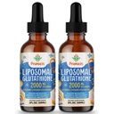 2000MG Liposomal Glutathione נוזל, 98% Absorption, Active Form L-Glutathione תוסף, טבעוני ידידותי, אנטי-חמצן Powerful Antioxidant Complex for Immune System, Aging Defense, Detox, 4 FL.OZ