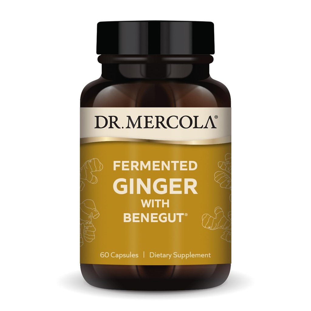 Dr. Mercola Fermented ג'ינג'ר עם Benegut - Supports Digestive & Gut Health - Aids Occasional Gas, Bloating & Discomfort - Non-GMO, Gluten-Free & Soy-Free - 60 קפסולות (60 משרתים)