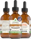 RawGuru Cordyceps Mushroom תוסף - טבעוני Cordyceps לחלץ עם Trace מינרלים - Nano-Processed Immunity Boost & Cognitive Supplement Tincture - 60 משרתים של טיפות טבעוניות ל 60 מ"ל, Pack של 1